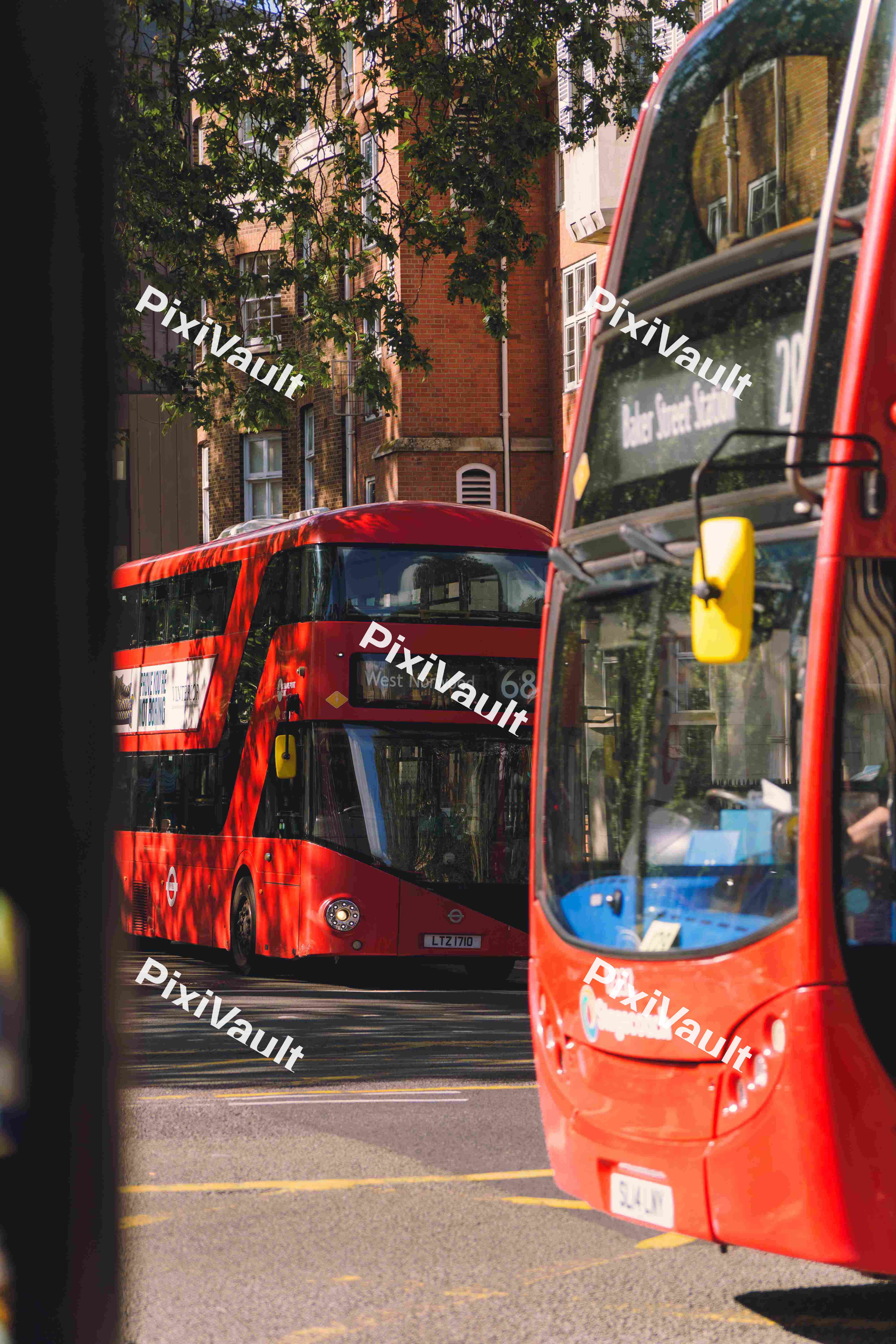 Two Red Buses